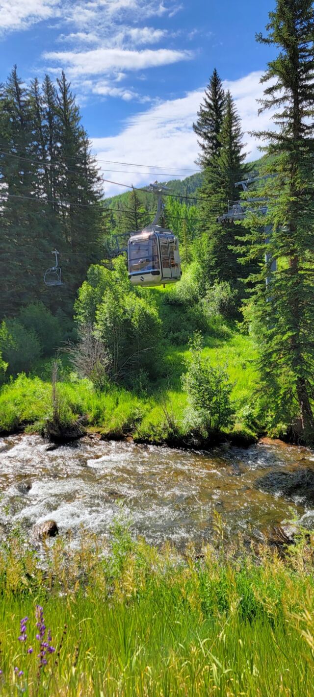 Gondola views 2