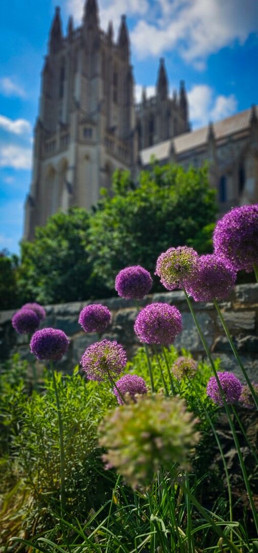 Bishop's Garden 08