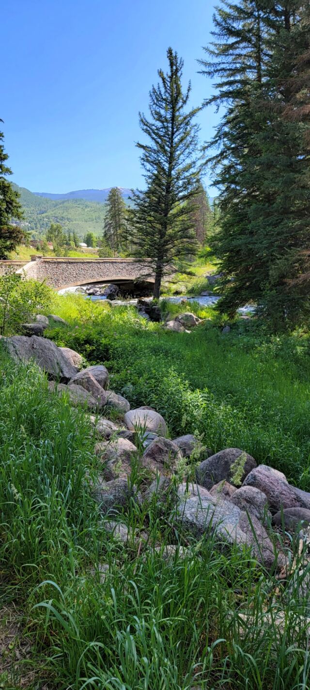Gore Creek hiking views 13