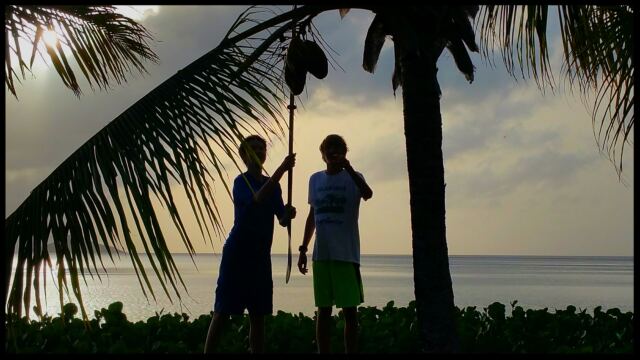 Coconut hunt silhouette