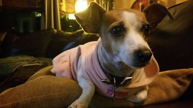 Pink-Sweatshirt-Kate