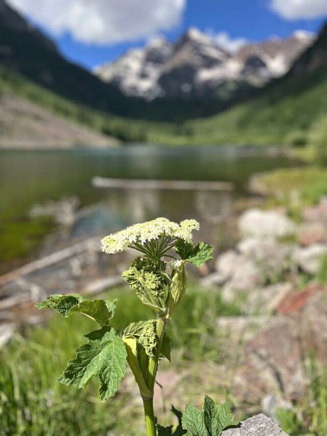 Maroon Bells 22