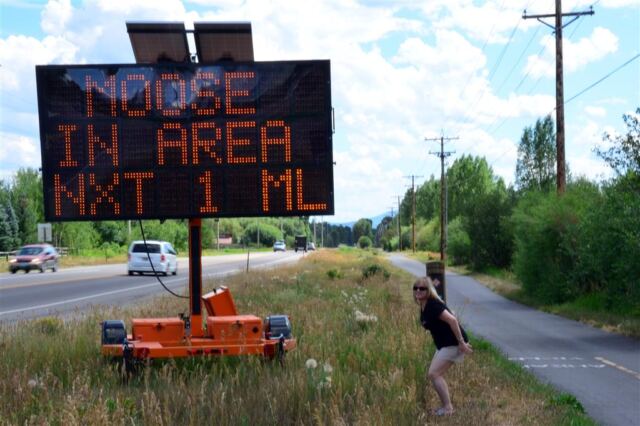 Moose makes ya wanna...