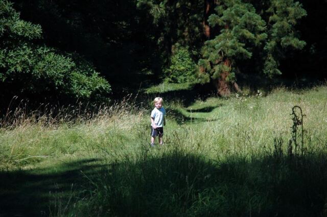 Sam scouts ahead