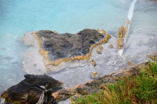 Imperial Geyser (4)