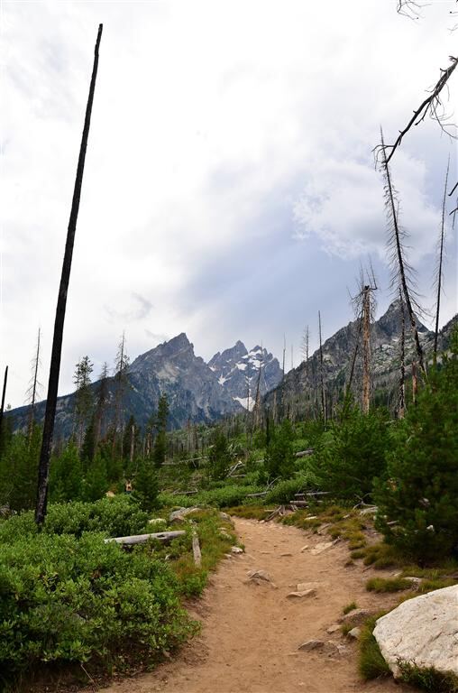 String Lake fire damage (2)