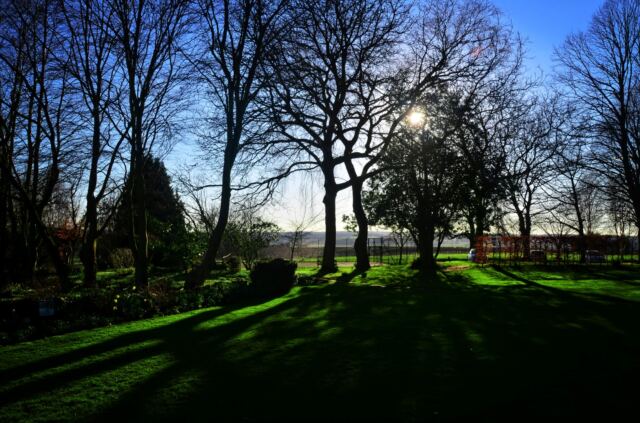 Sunset through the Charingworth trees (2)