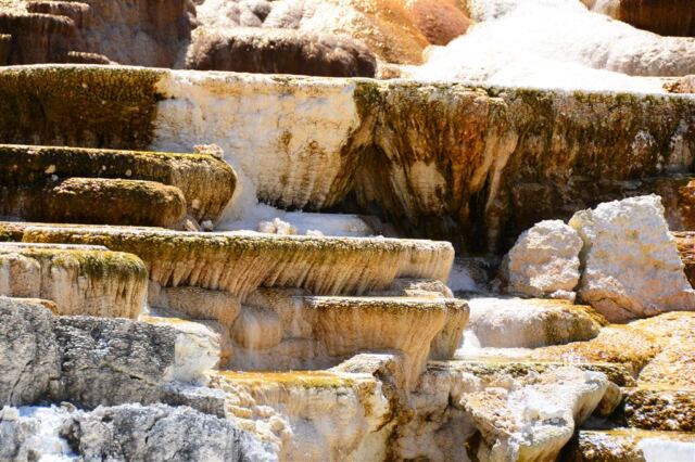 Devil's Thumb (Mammoth Hot Springs) (10)