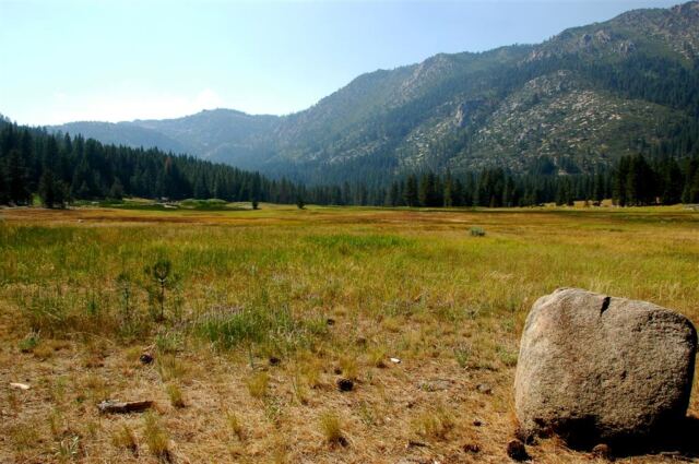 Meadow to Mountains