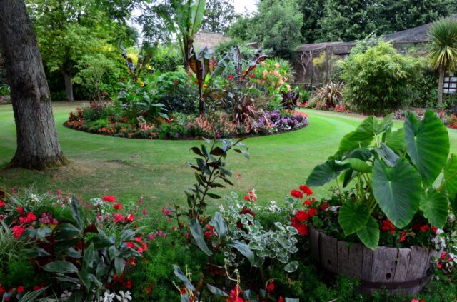 Cotswold Wildlife Park - flowers (3)