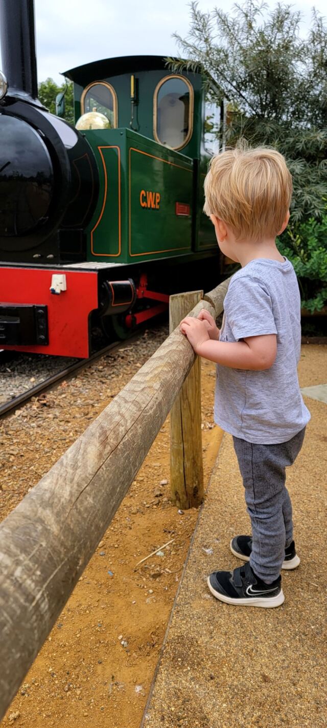 Cotswold Wildlife Park - train ride (4)