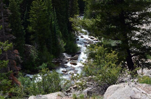 Stream alongside the road