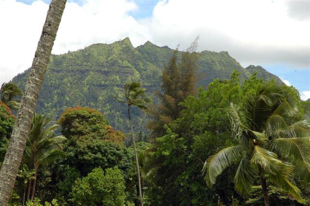 Kaua'i North Coast mountains (7)