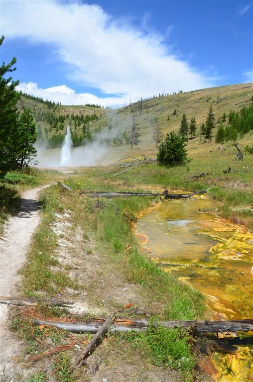 Imperial Geyser and sulfur stream