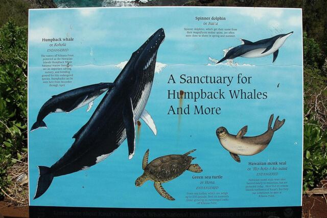 Sanctuary sign
