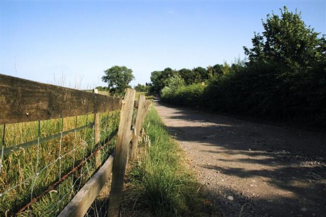 Fence and driveway