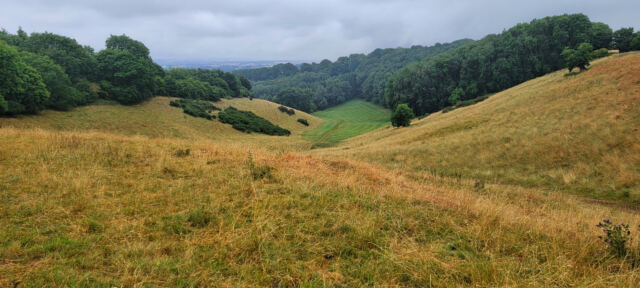 Cotswold views from Foxcote Hill (02)