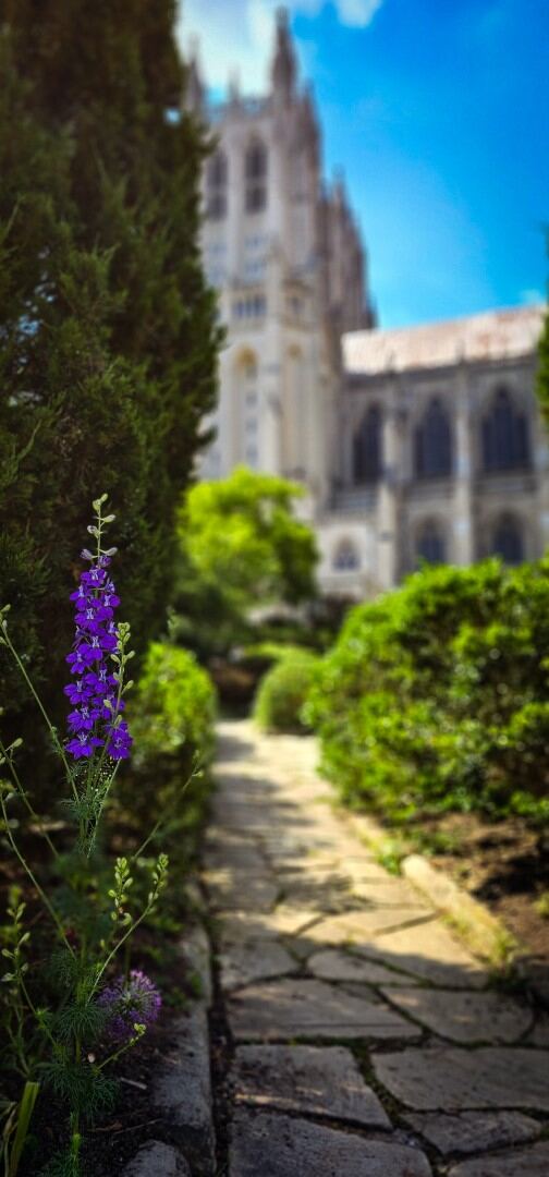 Bishop's Garden 10