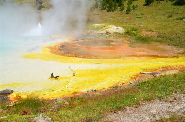 Imperial Geyser (10)