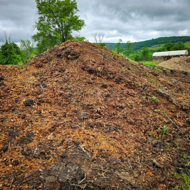 That is one big pile of