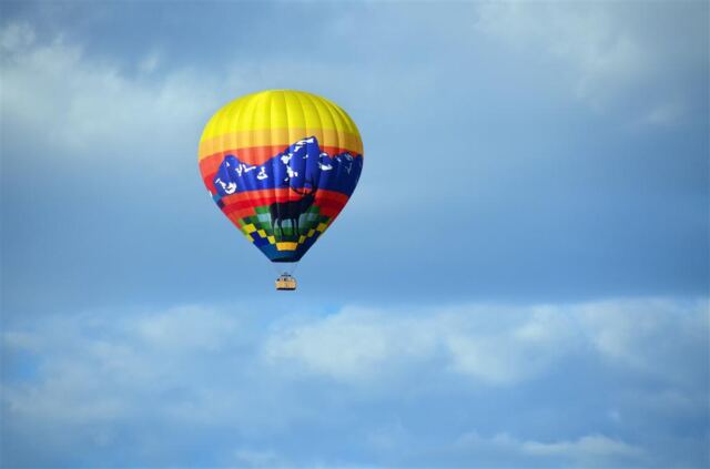 Moose balloon (3)