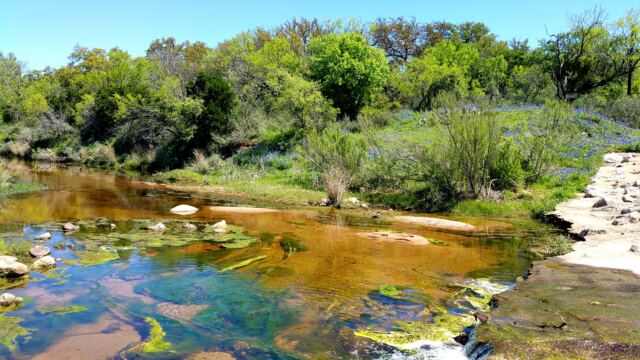 Willow Loop stream 1