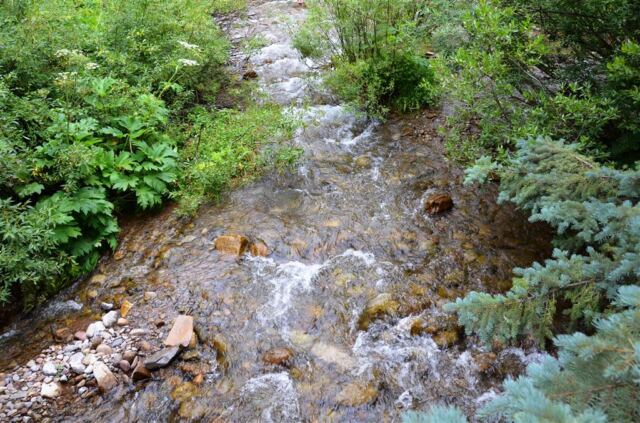 Stream