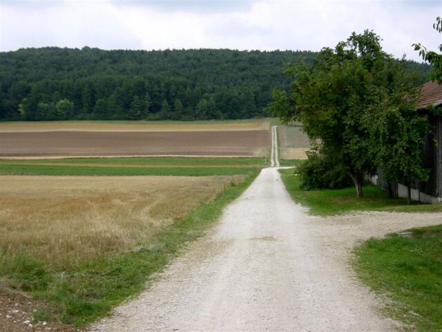 start-of-back-road-to-forest-east-of-town