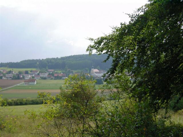 hormannsdorf-from-edge-of-forest-clearing