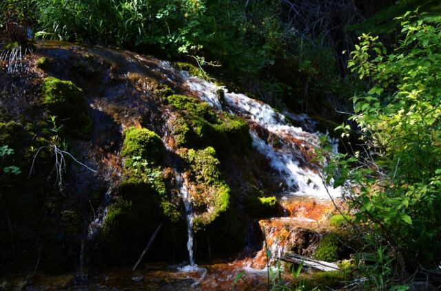 Pathside stream (6)