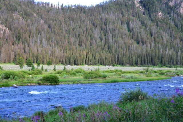 Earthquake Lake 'Ghost Cabins' (1)