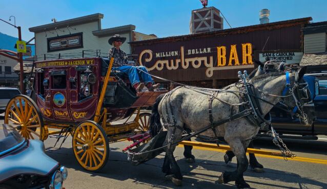 Million Dollar Cowboy Bar (3)