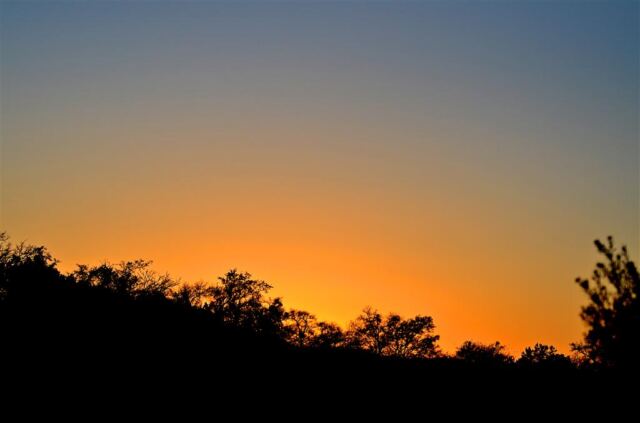 sunset-silhouettes