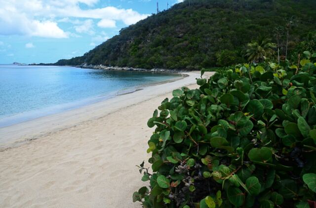 Last morning on Mahoe Bay 5
