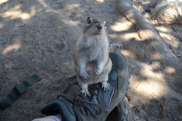 Dude.  Your snack.  Give it to me