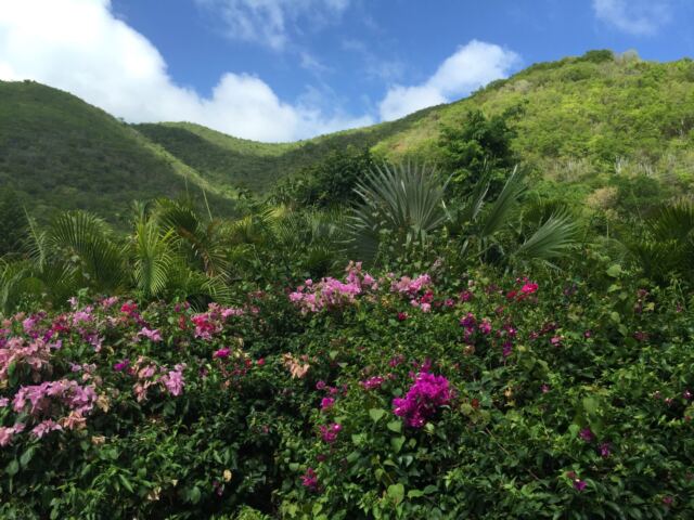 Virgin Gorda hills behind Villa on the Beach
