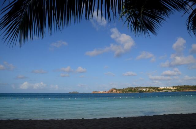 Emerald Beach from under the palm trees