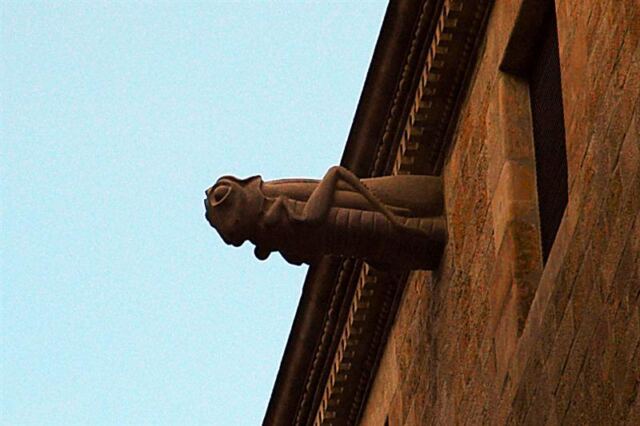 Cricket gargoyle!