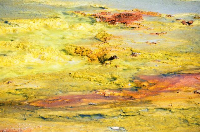 Excelsior Geyser runoff stream (13)