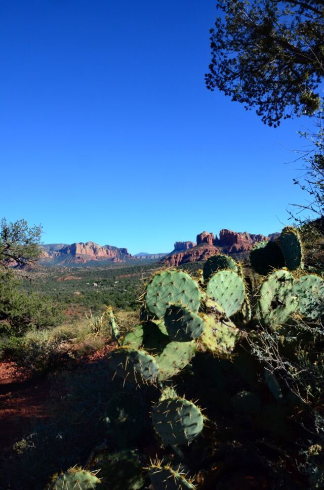 Cathedral Rock - vista views (10)