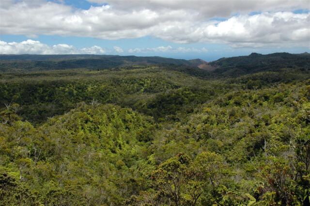 Kalalau Valley (44)