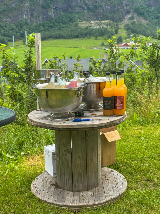 Skjolden Cidery