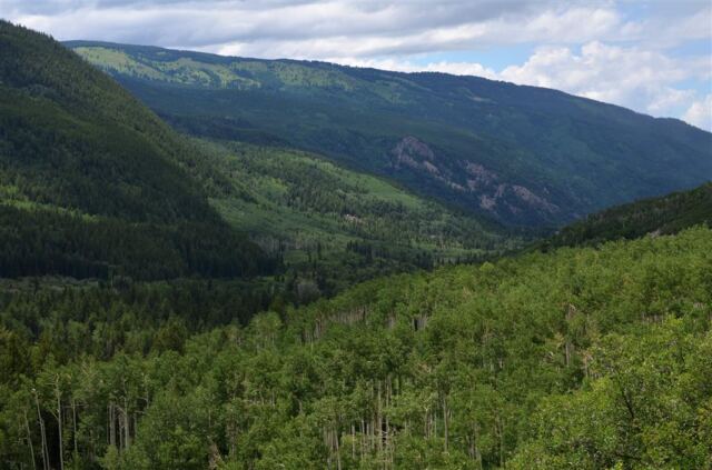 Green valley