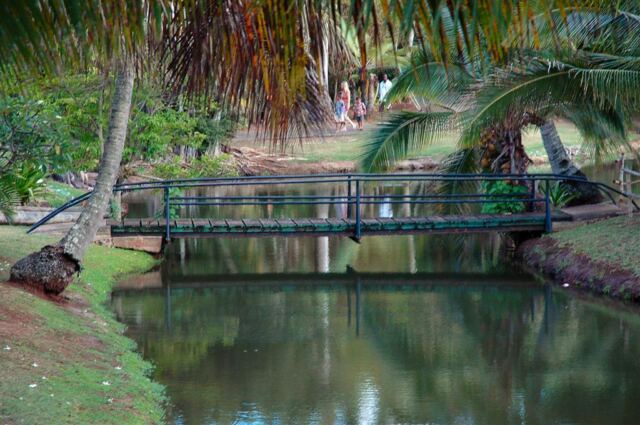 Bridge over (not so) troubled waters