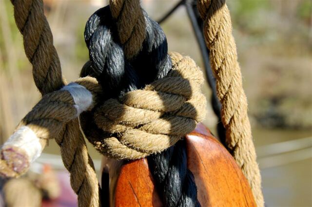 Nicely tied knot