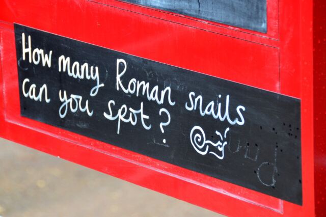Spot the Roman Snails
