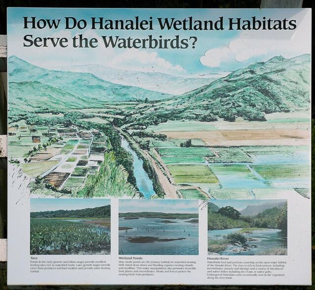 Hanalei Valley wetland sign