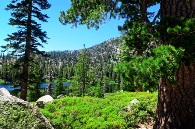 Angora Lake 01