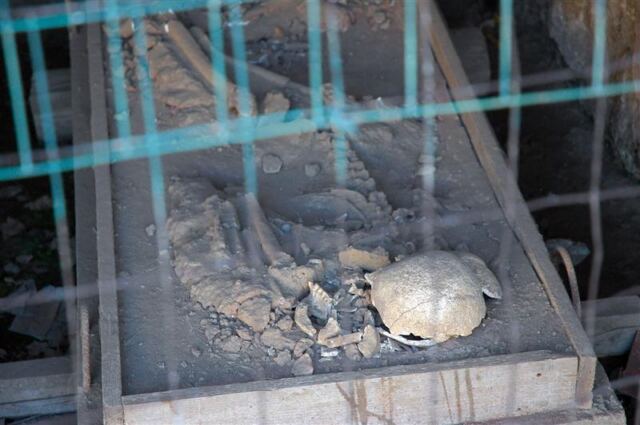 Pompeii - skeletons (2)