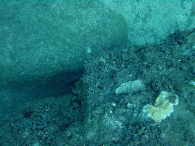 Napali diving - coral